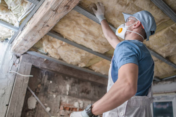 Best DIY Insulation Kits and Guidance in Bloomfield, NY